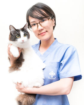 相模原市緑区・つくい湖犬猫の病院・看護師： 小城 理沙